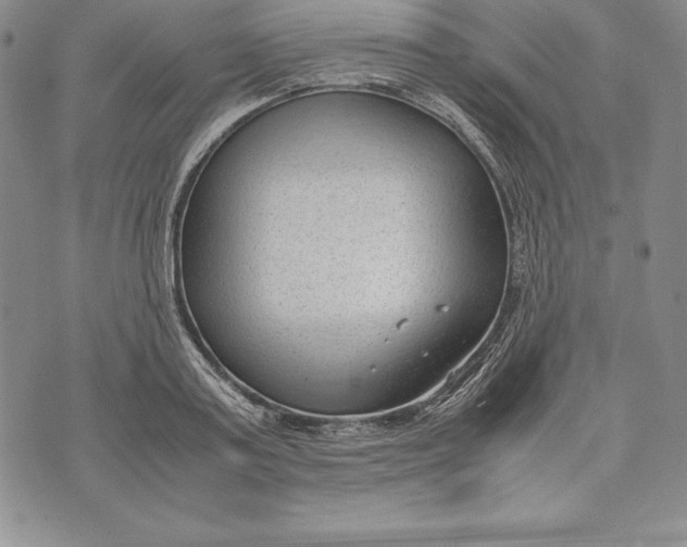 X0000072500795200608041440