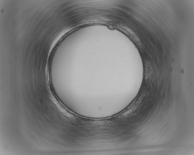 X0000072500796200608041440