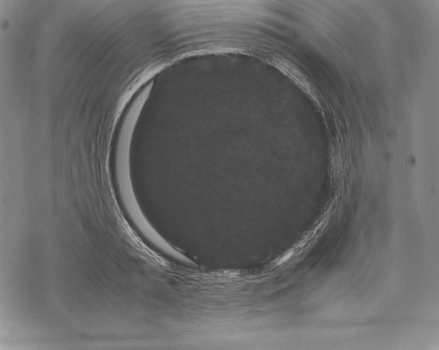 X0000072500797200608041440