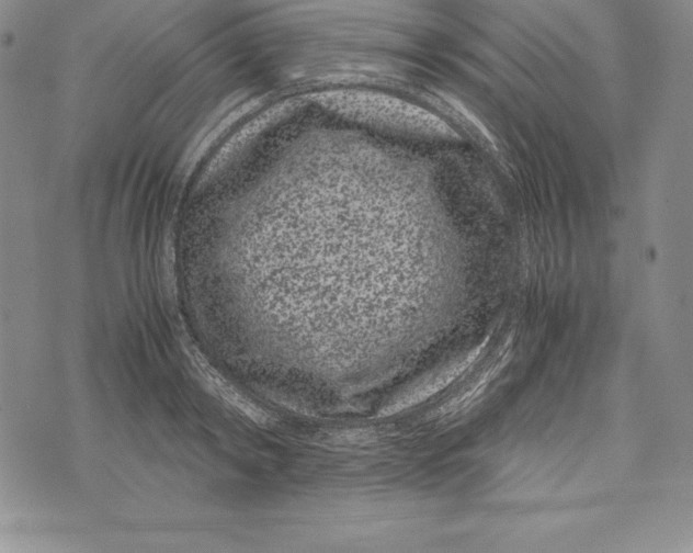 X0000072500798200608041440