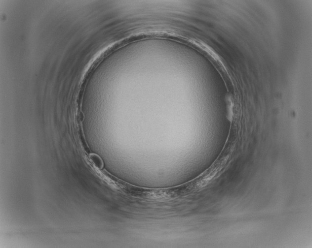 X0000072500799200608041440