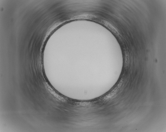 X0000072500800200608041440