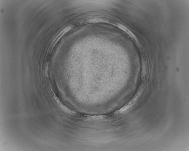 X0000072500801200608041440