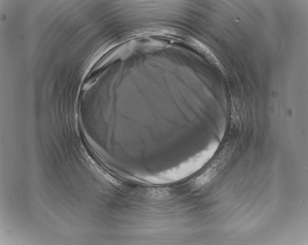 X0000072500802200608041440