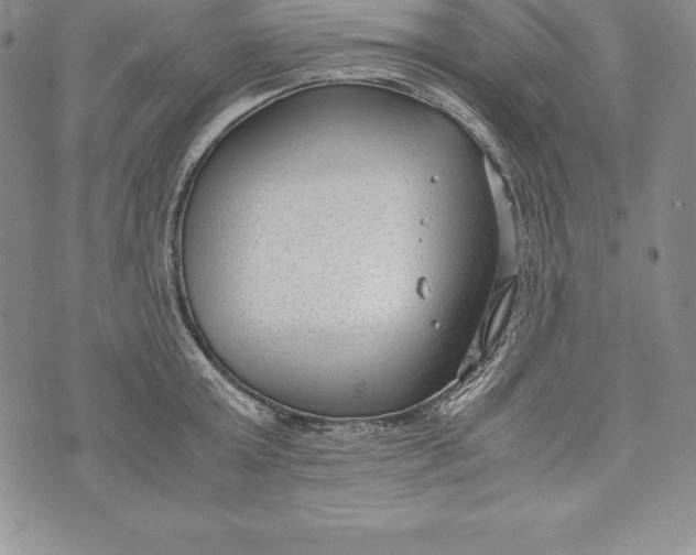 X0000072500803200608041440