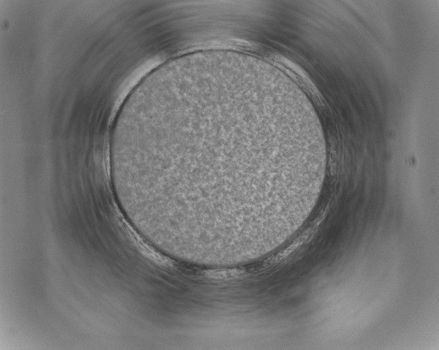 X0000072500804200608041440