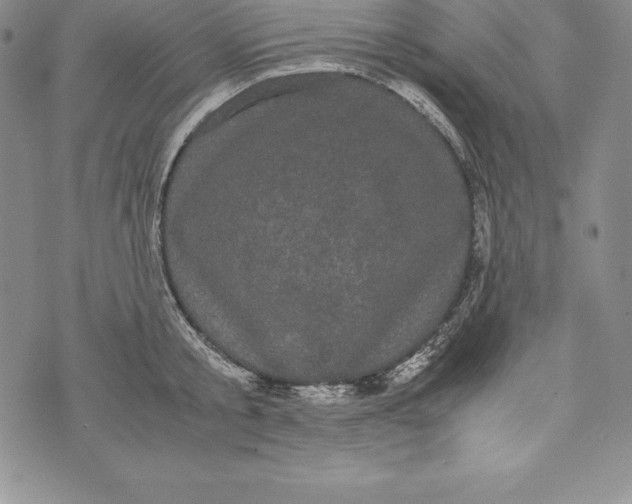 X0000072500805200608041440