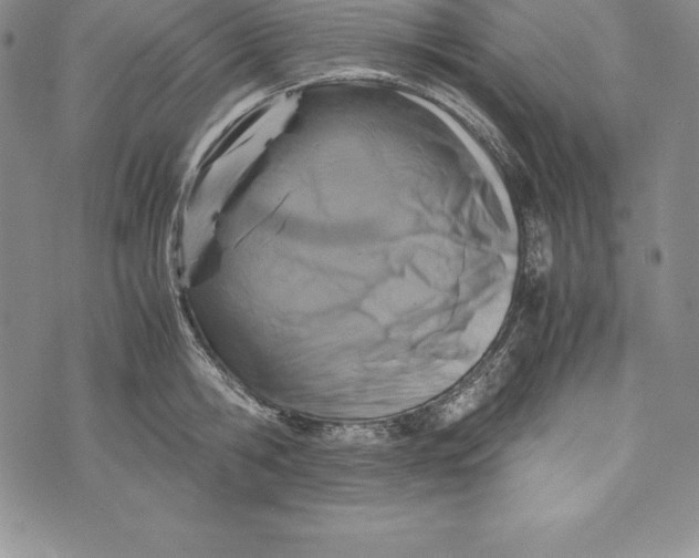 X0000072500806200608041440