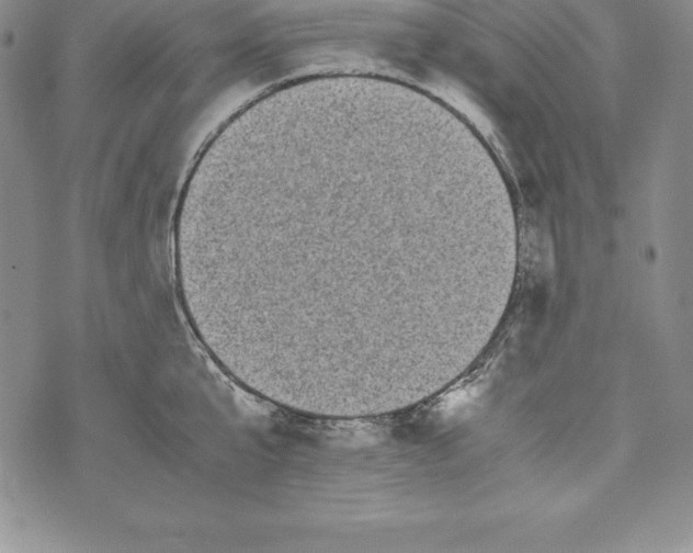 X0000072500807200608041440