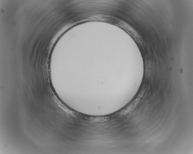 X0000072500808200608041440