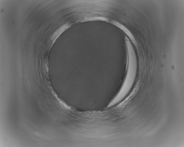 X0000072500809200608041440