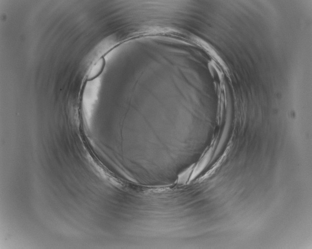 X0000072500810200608041440