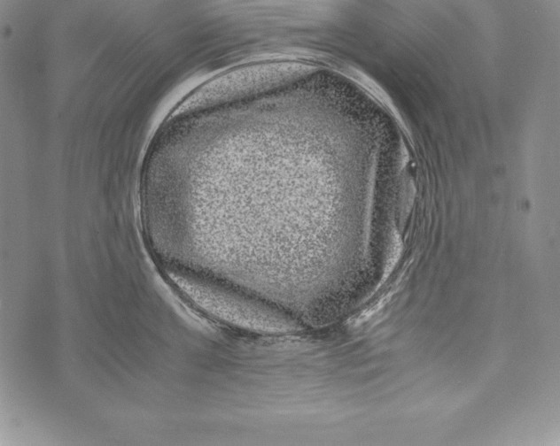 X0000072500811200608041440