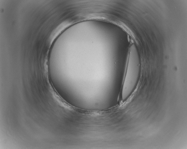 X0000072500814200608041440