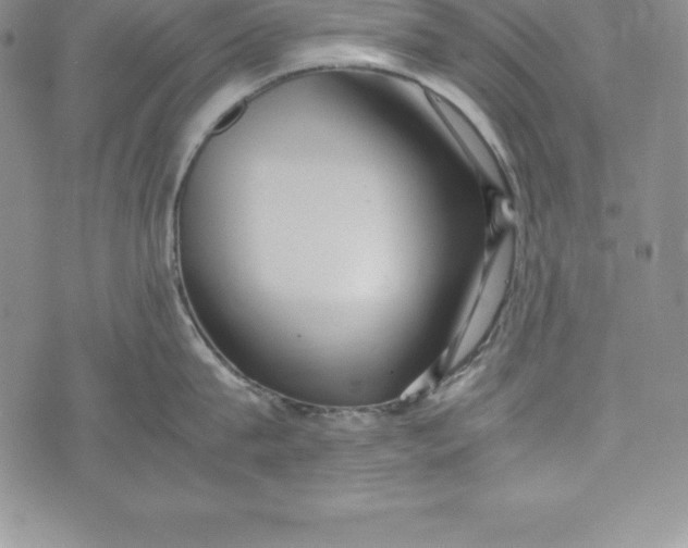 X0000072500815200608041440