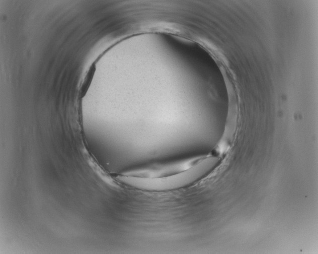 X0000072500816200608041440