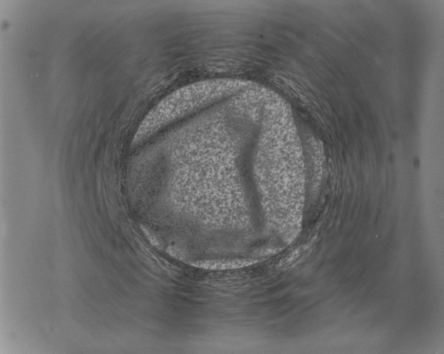 X0000072500817200608041439