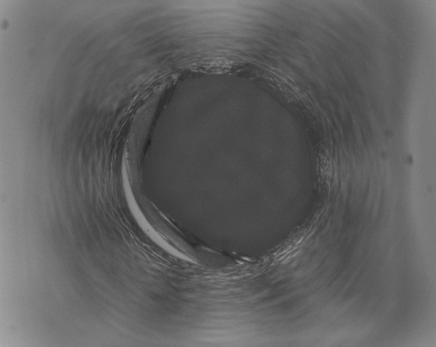 X0000072500818200608041439