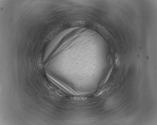 X0000072500819200608041439