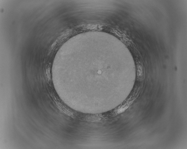 X0000072500820200608041439