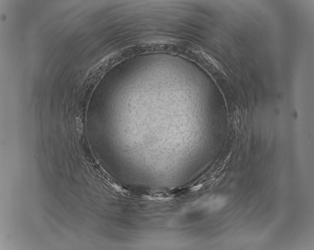 X0000072500821200608041439