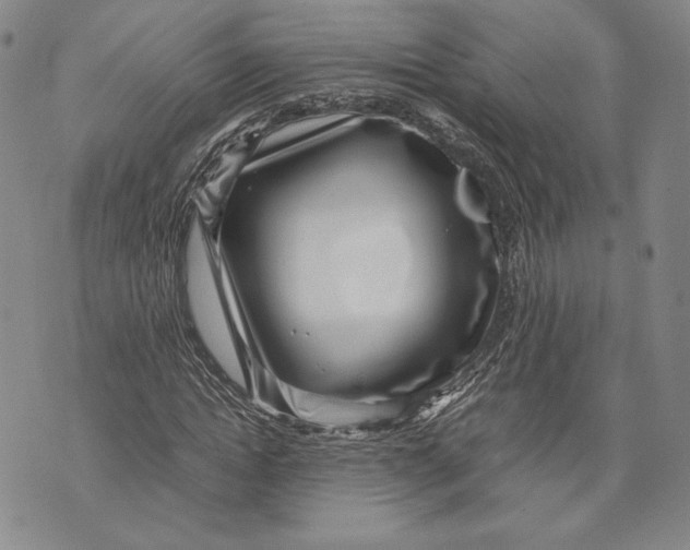 X0000072500822200608041439