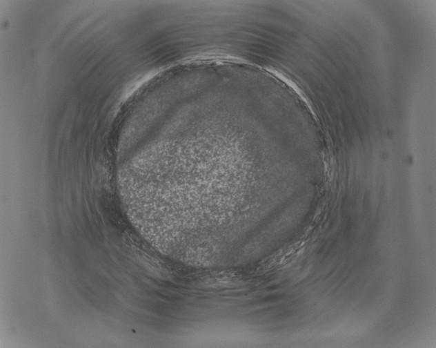 X0000072500823200608041439