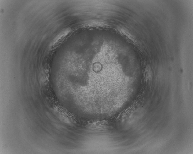 X0000072500824200608041439