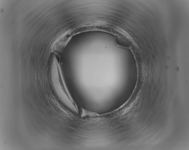 X0000072500826200608041439