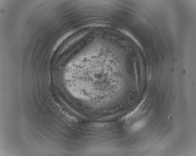 X0000072500829200608041439