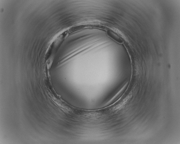 X0000072500830200608041439