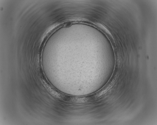 X0000072500831200608041439