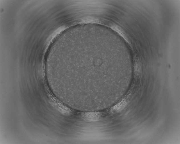 X0000072500832200608041439