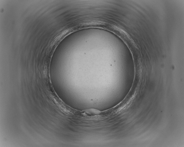 X0000072500833200608041439