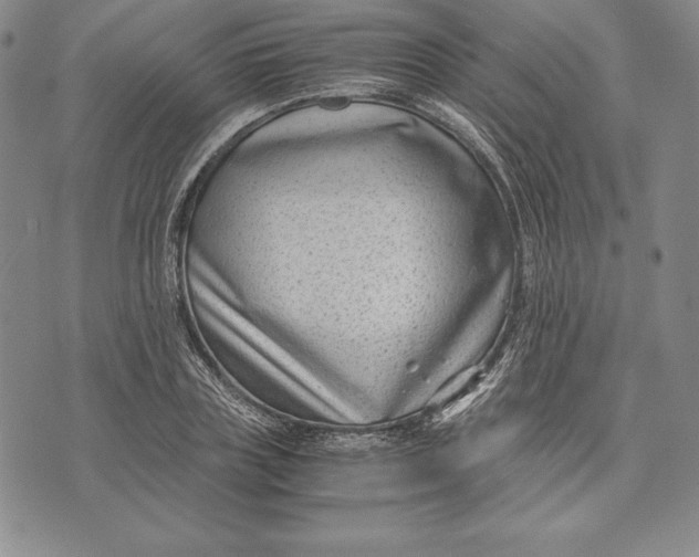 X0000072500835200608041439