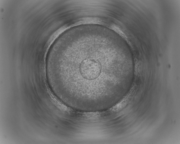 X0000072500836200608041439