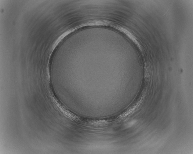 X0000072500837200608041439