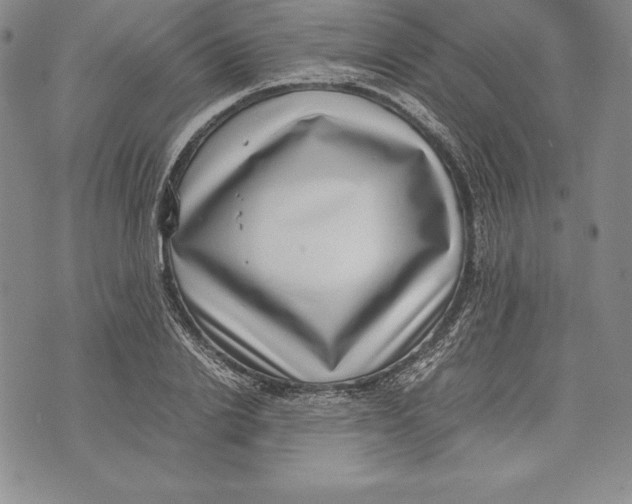 X0000072500838200608041439