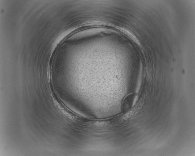 X0000072500839200608041439