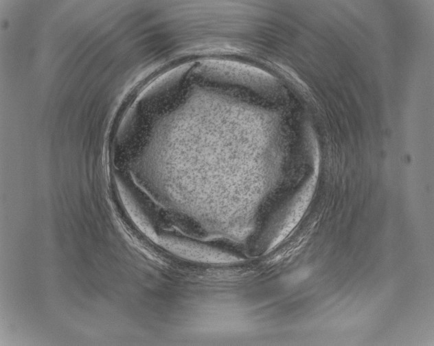 X0000072500840200608041439