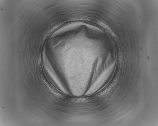 X0000072500841200608041439