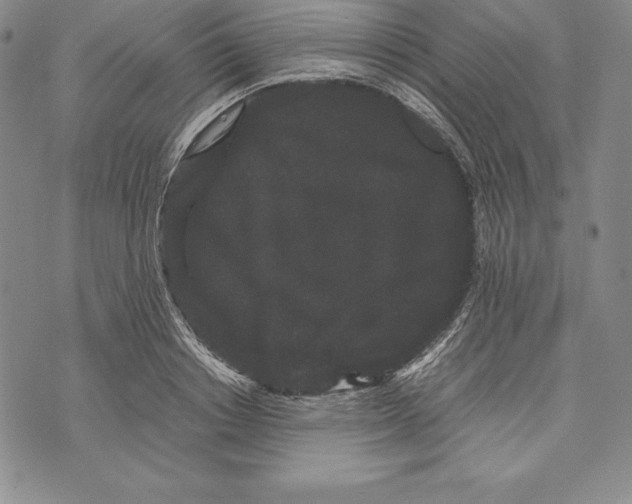 X0000072500842200608041439