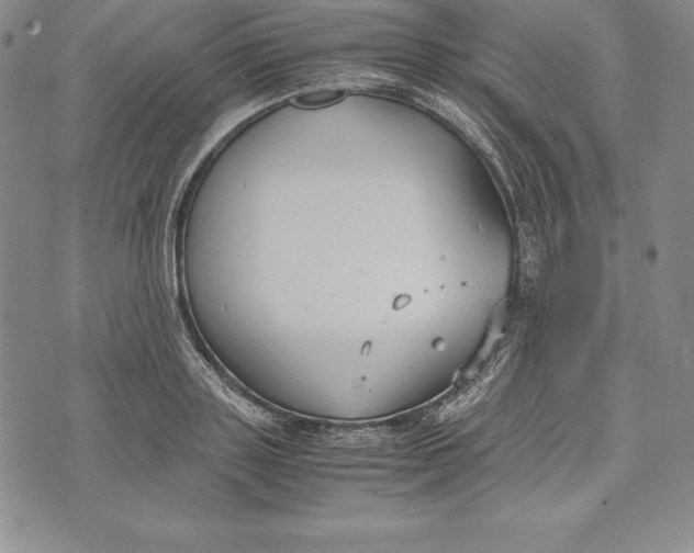 X0000072500843200608041439