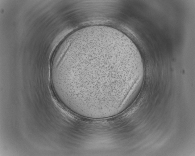 X0000072500844200608041439