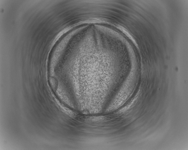 X0000072500845200608041439