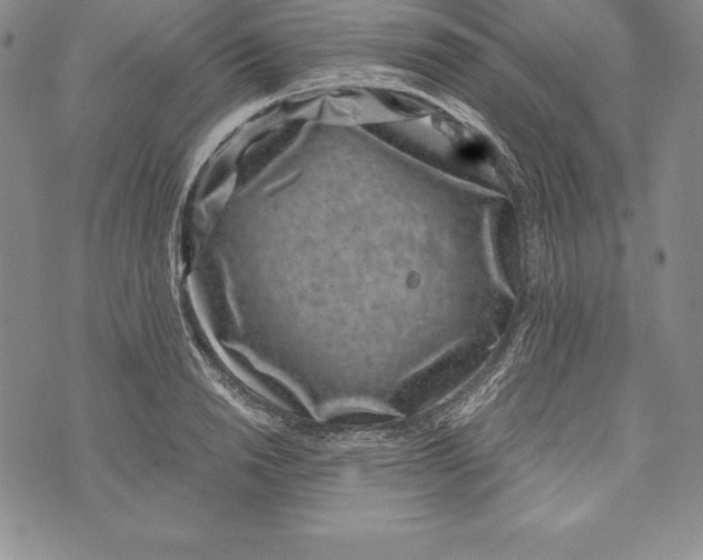 X0000072500846200608041439