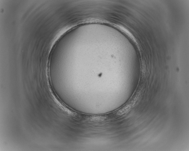 X0000072500847200608041439