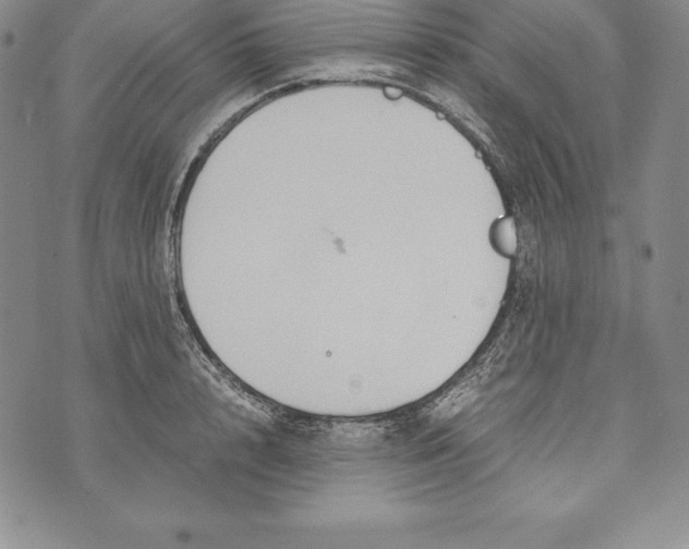 X0000072500848200608041439