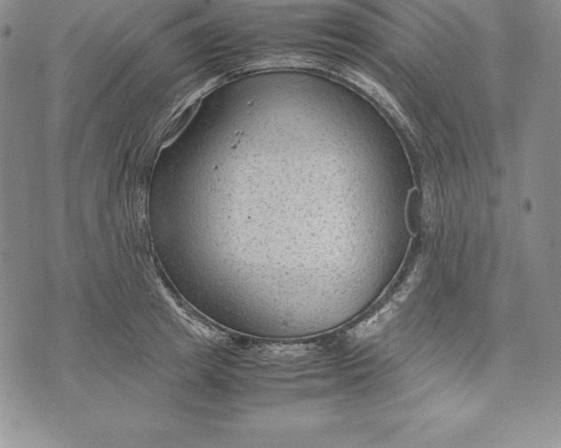 X0000072500849200608041439