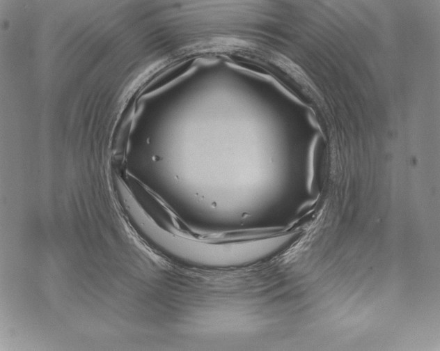 X0000072500850200608041439